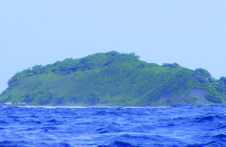 Bird Island