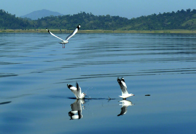 Indawgyi Lake